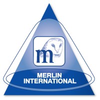 Merlin International Projects logo - Similar company to Mineral Midrange S.A.