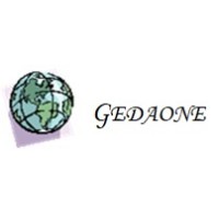 Global Enterprise Data Analytics logo - Similar company to Bareilly International University