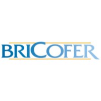Bricofer logo - Similar company to Gruppo Tec Affiliato Bricofer