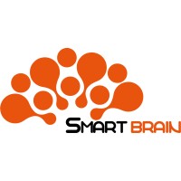 Smart Brain logo - Similar company to Smartbrain.Io