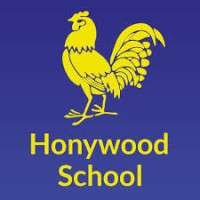 HONYWOOD COMMUNITY SCIENCE SCHOOL logo - Similar company to Firstsite