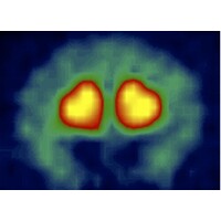 Neuroregeneration Institute logo - Similar company to Neuro Regenerative