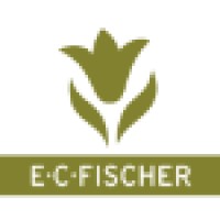 E.C. Fischer AG logo - Similar company to Spirig Ag