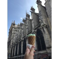 Ryan'S Services