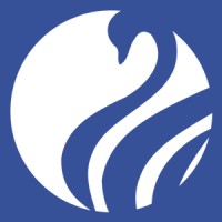 Swan Multimedia Ltd logo - Similar company to Onyx Support