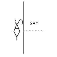 SAY DEVELOPPEMENT logo - Similar company to Regul'Electronique
