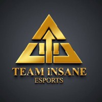 TEAM INSANE ESPORTS logo - Similar company to Drona Edu