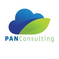 PAN Consulting LLC logo - Similar company to Abc Infosystems