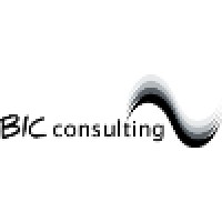 BIC Consulting A/S logo - Similar company to Mintyplex