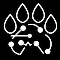 Patan Gameworks logo - Similar company to Mpforce Inc