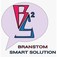 Branstorm Smart Solutions logo - Similar company to Industrial Solution Cameroon