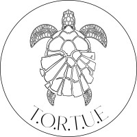 T.O.R.T.U.E logo - Similar company to Batidefi