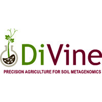 DiVineProject logo - Similar company to Comerco