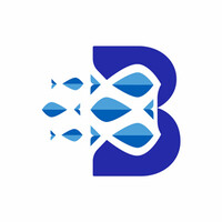 Bonita Practice Solutions