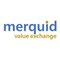 Merquid logo - Similar company to Synapses Partners