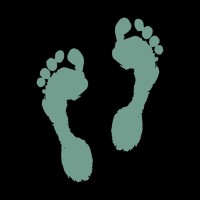 Impacto logo - Similar company to Altasmim