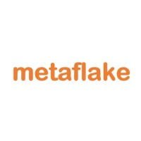 metaflake logo - Similar company to Ecris Ab