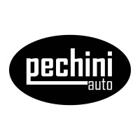 Pechini Auto logo - Similar company to Dimo - S.P.A.