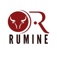 Grupo Rumine logo - Similar company to Tubos Copel