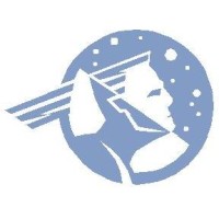Future Value Group AG logo - Similar company to Icarus Consulting Gmbh