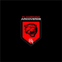 Flamengo de Arcoverde logo - Similar company to Rich Analytics