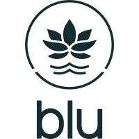 Blu Medspa logo - Similar company to Health & Wellness W Hbot; Wellness Medspa