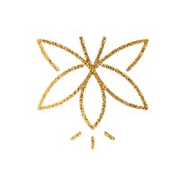 Firefly Consulting Inc. logo - Similar company to Firefly Consulting