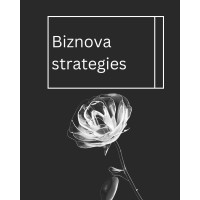 Biznova strategies logo - Similar company to Vnq Systems