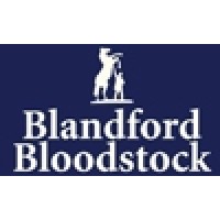 Blandford Bloodstock Ltd logo - Similar company to Opulence Thoroughbreds