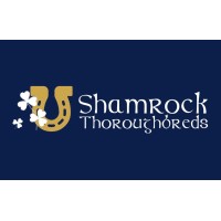 Shamrock Thoroughbreds logo - Similar company to Stephen Thorne Racing