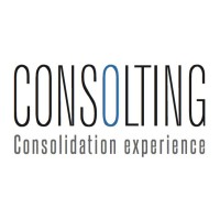 Consolting logo - Similar company to Picaudit - Cfo Externos & Auditores & Consultores