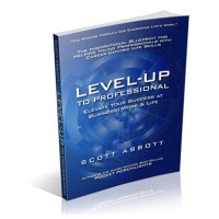 Level-UP to Professional logo - Similar company to Straticos