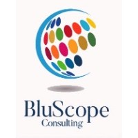 BluScope Consulting logo - Similar company to 2030 Sdgs Game
