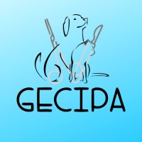Gecipa Fzea Usp