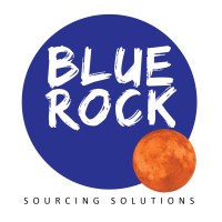 BLUEROCK SOURCING SOLUTIONS logo - Similar company to Steinhoff International