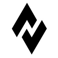 Nexus APAC logo - Similar company to Cmax Advisory