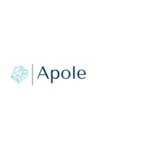 Apole Danışmanlık logo - Similar company to Vaka Danişmanlik
