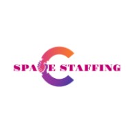 Space Staffing logo - Similar company to Analyst Network North East