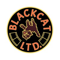 Blackcat Ltd. logo - Similar company to Lcmgroup