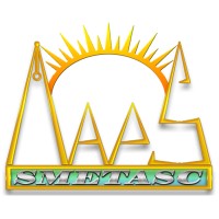 M. A. P. S. Smetasc IT & Entertainment LLP logo - Similar company to Giichi It Solution