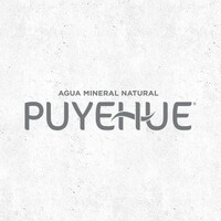 Embotelladora Agua Mineral Puyehue logo - Similar company to Comtec Chile