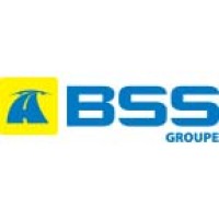 BSS GROUPE logo - Similar company to Rincent Investigations