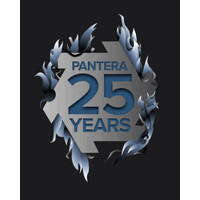 Pantera Group logo - Similar company to Site Audit Services
