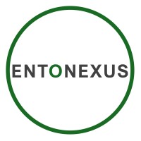 ENTONEXUS logo - Similar company to Ariston Bell