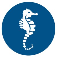 Memphis Pool logo - Similar company to Brush Creek Distillery