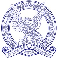 Irish Air Corps logo - Similar company to Stack Audio Limited