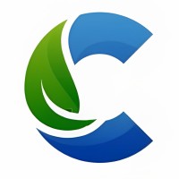 Cogentix Systems logo - Similar company to Rapid Cloud Development