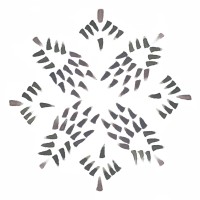 Nicole Buffett Studios logo - Similar company to Swoop Golf