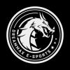 DreamMax Esports logo - Similar company to Xcloud Game