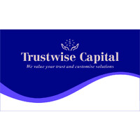 Trustwise Capital logo - Similar company to Trustwise Capital
